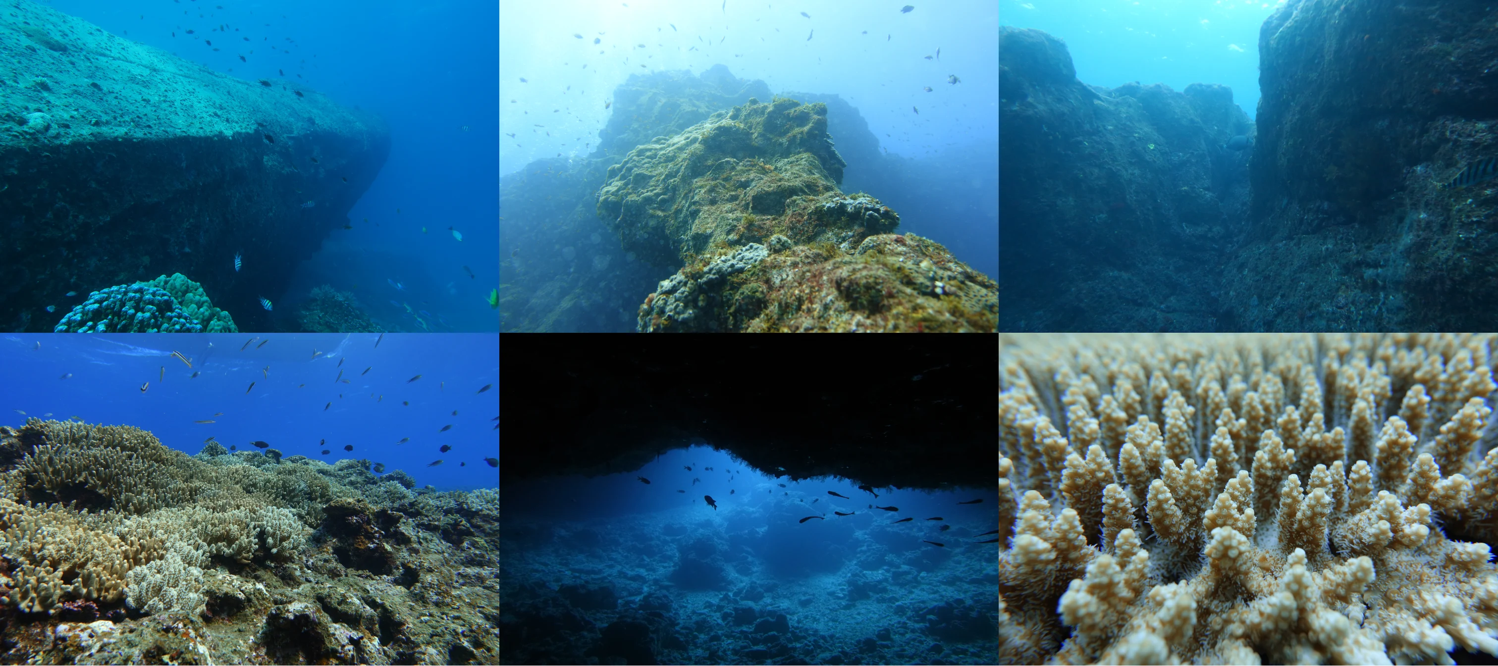 ６枚のダイナミックな岩礁が写った海中風景の画像